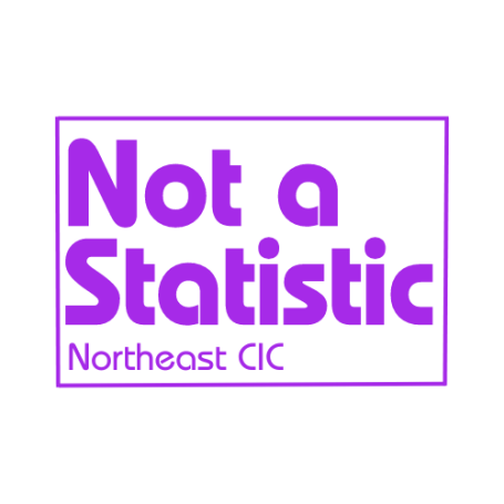 Not A Statistic NE Logo